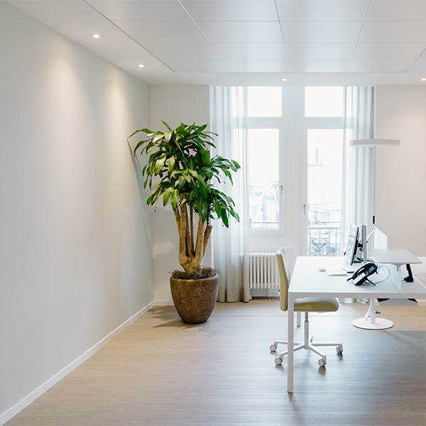 Empfangsraum, Praxis für Angiologie – Fachärztin FMH Angiologie und Innere Medizin Praxis am Römerhof